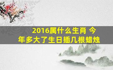 2016属什么生肖 今年多大了生日插几根蜡烛